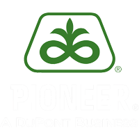 Pioneer Hi-Bred